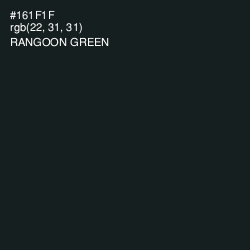 #161F1F - Rangoon Green Color Image